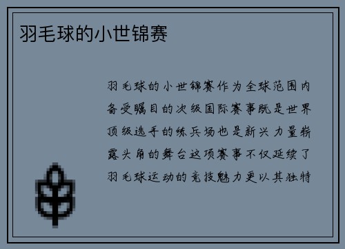 羽毛球的小世锦赛
