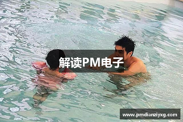 解读PM电子